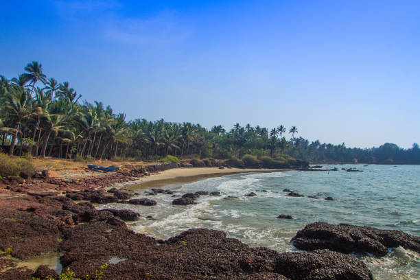 istock Wild beach in Maharashtra state, India, Arabian sea 687889030