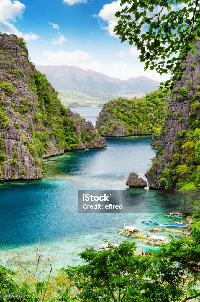 Tropical seashore Tropical seashore. Coron, Busuanga island, Palawan province, Philippines. Bay of Water Stock Photo