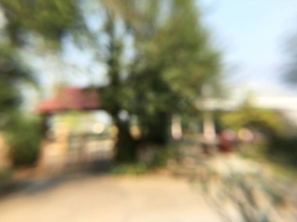 blurred image of home with green environment in countryside in the north of Thailand.