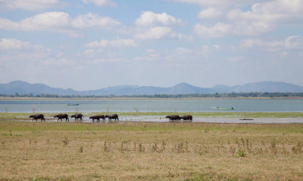 istock Lamtakong dam, Thailand 687904876
