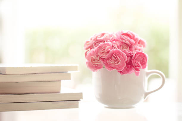 istock fresh pink carnation flower with books background 687905320