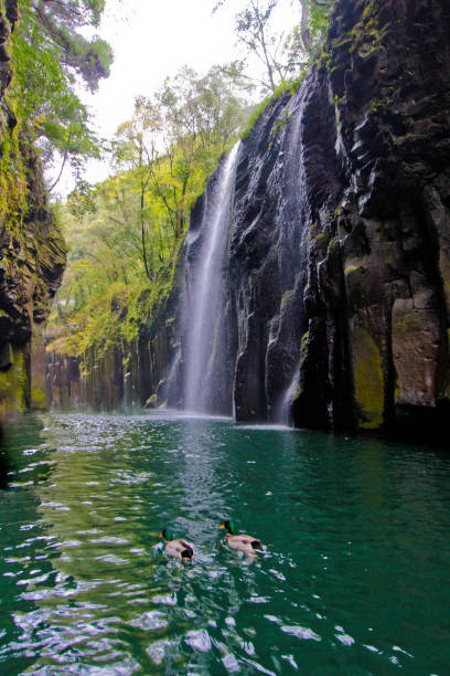 istock Japan Takachiho Gorge 687909448
