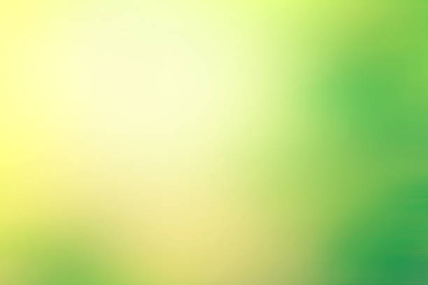 istock The Abstract light fresh nature green background 687912934