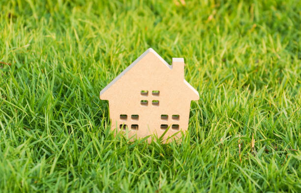 istock Eco house and green living concept 687916904