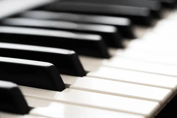 Piano keys close up, piano keyboard, black and white music background