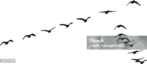 Silhouette Of Flock Of Canada Geese Flying In Formation Stock Illustration - Download Image Now