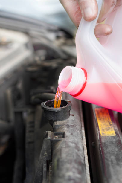istock Car service. Adding liquid to the car's radiator. 687923766