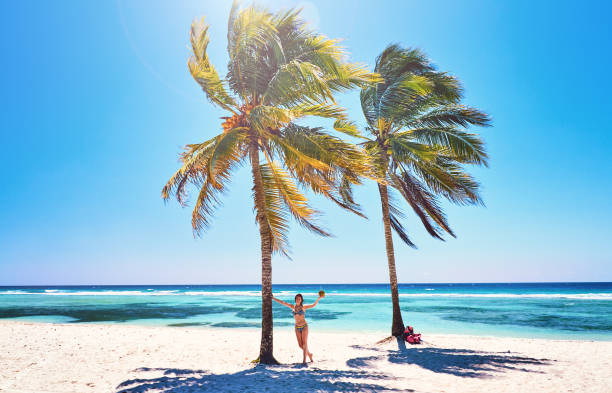 ビーチで陽気で楽しいココナッツヤシの木の若い女性。ビーチカリブ海、キューバ - swimwear caribbean sea beach water ストックフォトと画像