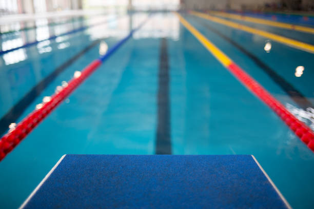 istock Starting line in swimming pool 687928120