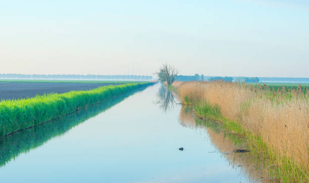 istock Canal through the countryside in spring 687928336