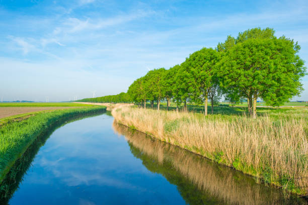istock Canal through the countryside in spring 687928380