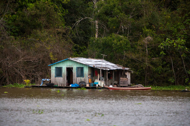 istock Floating houses in amazon river - Manaus - Brazil 687929086