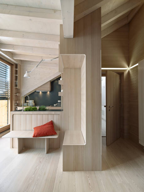 istock nterior view of entrance and kitchen 687932486
