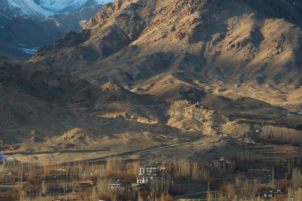 istock Leh city and Mountain 687940572