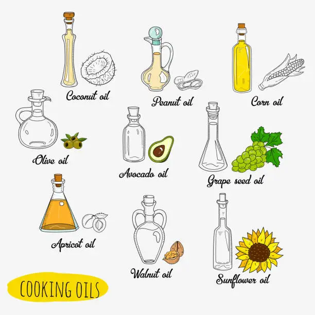 Vector illustration of 9 isolated doodle cooking oils