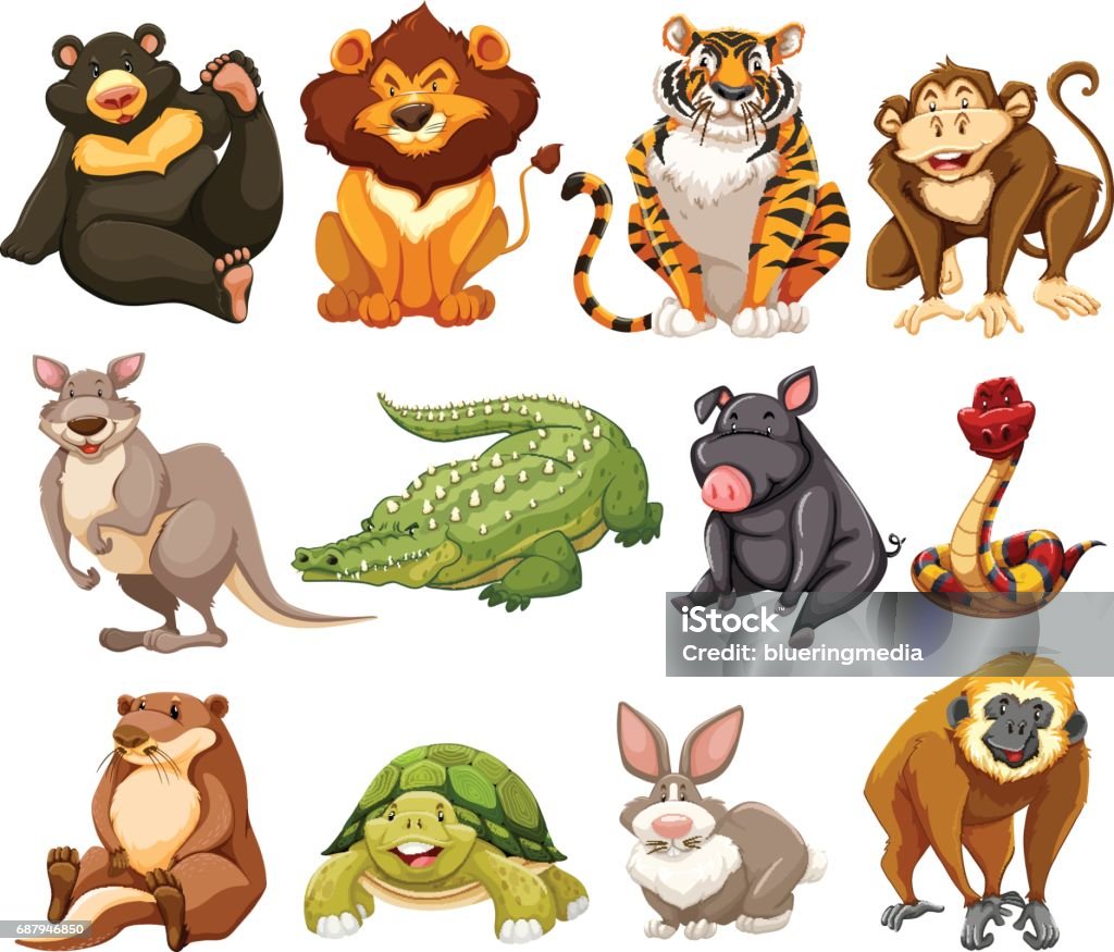 Different kinds of jungle animals Different kinds of jungle animals illustration Gibbon - Ape stock vector