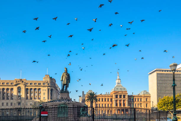 Pretoria city square at sunrise with Paul Kruger Early morning sunrise in the city square with Paul Kruger statue and a reflection off a building. Statue now protected by security fencing. Pigeons are abundant at the square. pretoria stock pictures, royalty-free photos & images