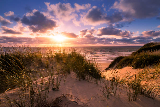 istock Sunset in Portugal 687959844