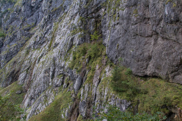 istock Walking thorugh the Hoellental 687961732