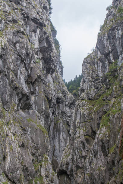 istock Walking thorugh the Hoellental 687962038