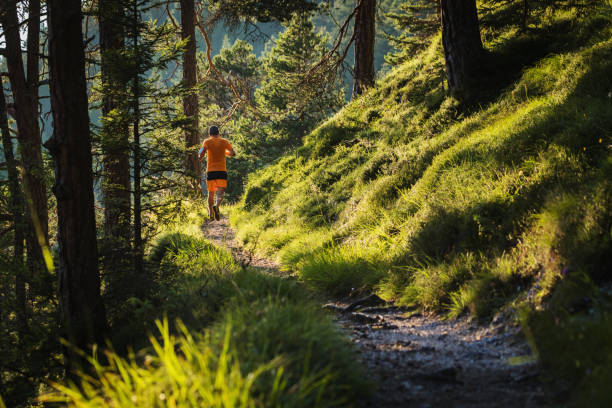 istock Man trail running in the forest up mountain 687968560