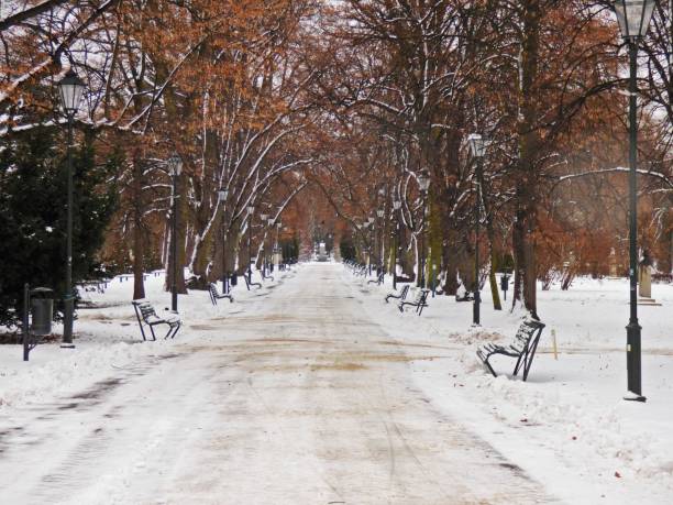 istock winter park lane covered with snow 687975762