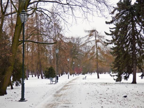istock Park lanes with snow in Winter 687975834