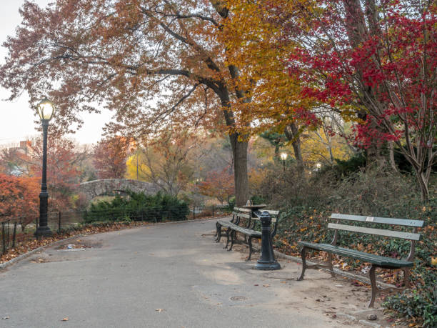 istock Central Park, New York City autumn 687977104