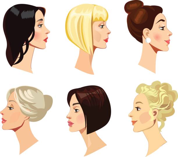 vector portraits of women in profile, blonde, brunette hair, beauty face vector art illustration