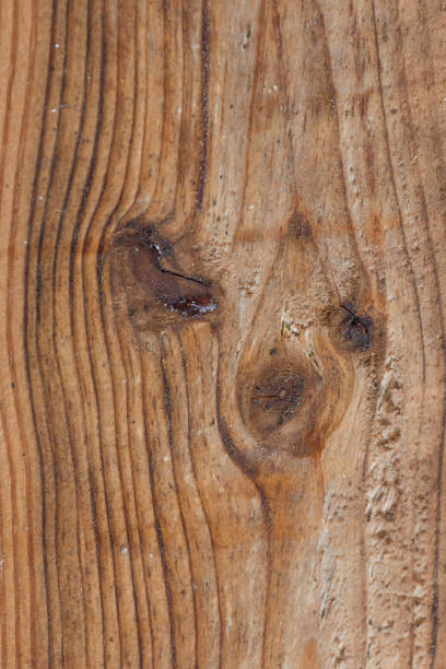 istock Funny face on wooden board 687981262