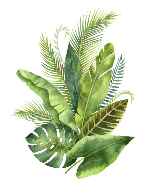 akwarela bukiet tropikalne liście i gałęzie izolowane na białym tle. - egzotyczny ptak obrazy stock illustrations