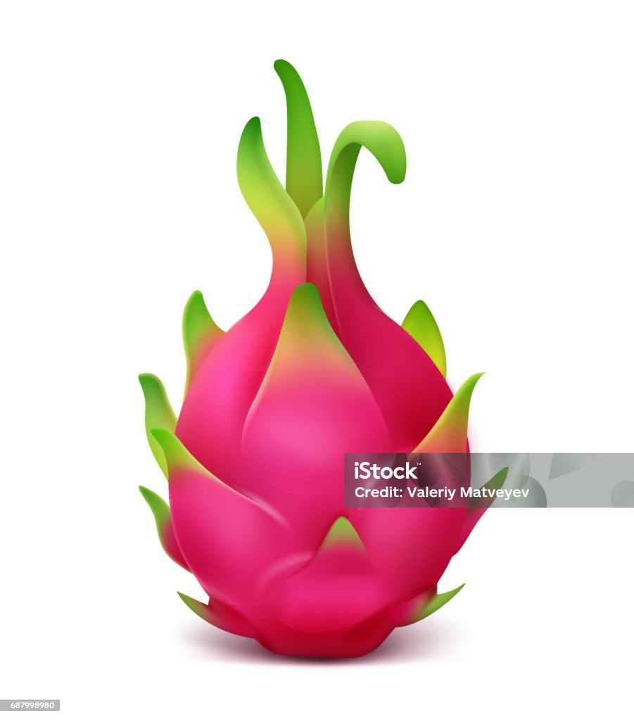 Ilustración de Fruta Del Dragón Rosa y más Vectores Libres de Derechos de  Pitaya - Fruta de Cactus - Pitaya - Fruta de Cactus, Vector, Alimento -  iStock