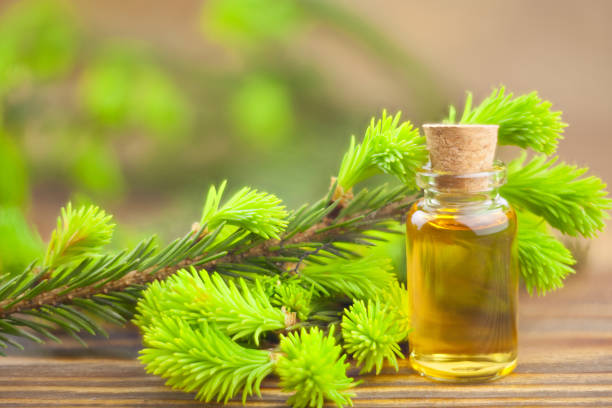 istock Essence of pine on table in beautiful glass jar 688002108