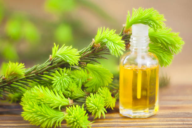istock Essence of pine on table in beautiful glass jar 688002170