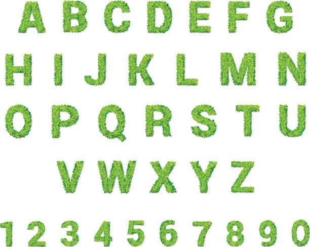 istock ABC stylish modern placard lettering vector set. Full letter latin English alphabet font collection. 688002812