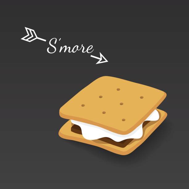s'more 그레이엄 크래커, 초콜릿, 그리고 마 시 멜로 - cracker cookie snack dessert stock illustrations