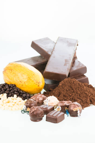 istock Miniature pastry chefs and cocoa 688015636