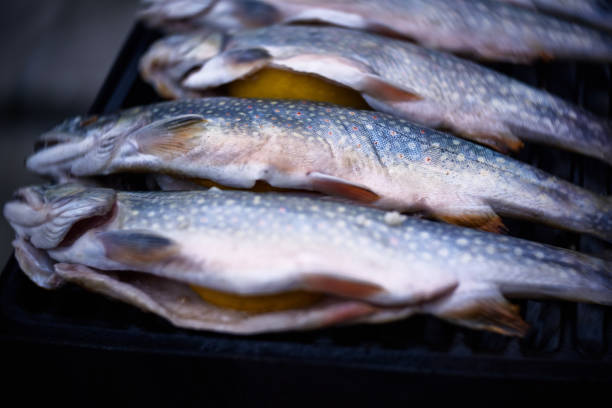 istock preparing fishes on the grill 688018962