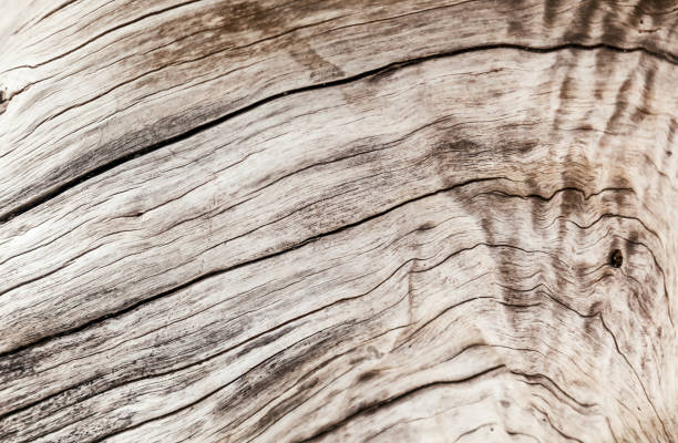istock Beautiful abstract wooden background 688026098