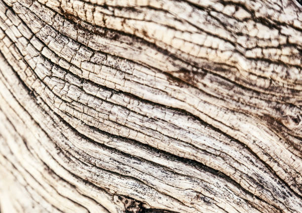 istock Beautiful abstract wooden background 688026110
