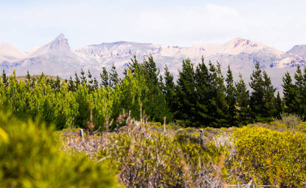 анды на границе с чили, лос-антигуос - foothills parkway стоковые фото и изображения