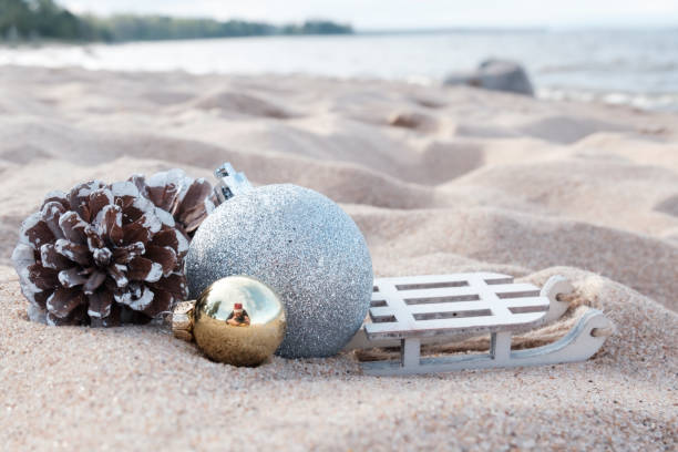 istock have a vacation on winter holidays 688037288