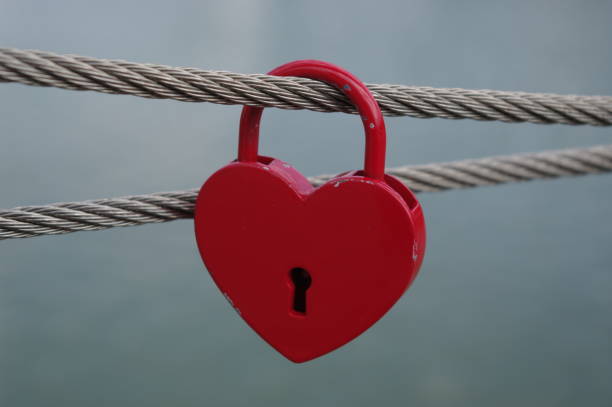 istock Red Heart Padlock Hanging on a Wire Rope 688037440