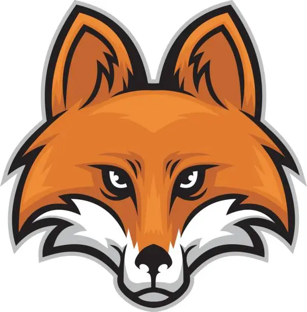 Vector illustration of fox head