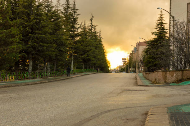 Street view with old pine trees in Eskisehir, Turkey. People walking in an empty street.