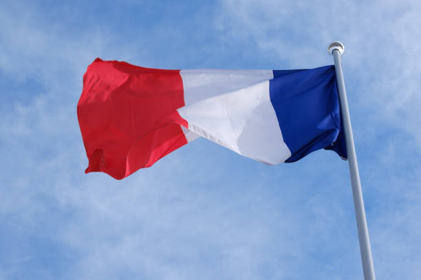 istock Flag of France 688050320