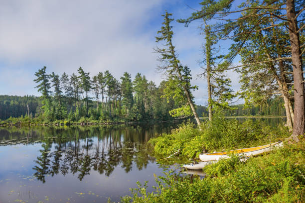 istock Lake landscape with canoes 688053846