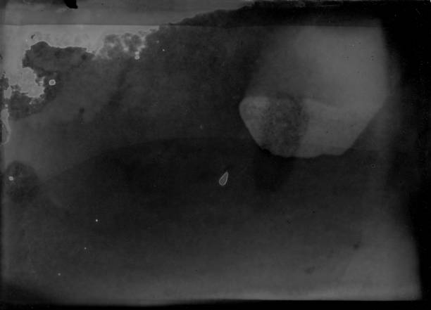 istock Old and damaged photographic paper wrongly developed 688061088