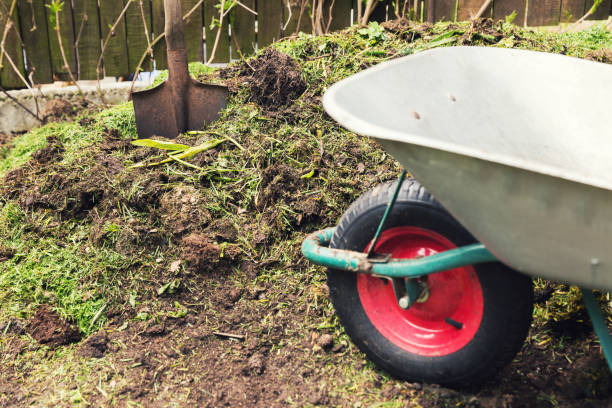 istock compost - garden plant fertilizer 688064462