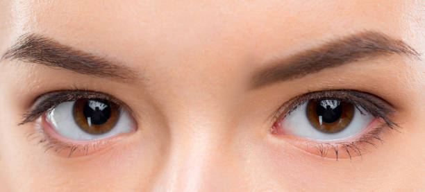 istock Close up image of female brown eyes 688066994
